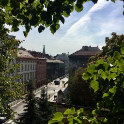 Pielęgnacja ogrodów Kraków 1