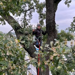 Pielęgnacja ogrodów Kraków 2