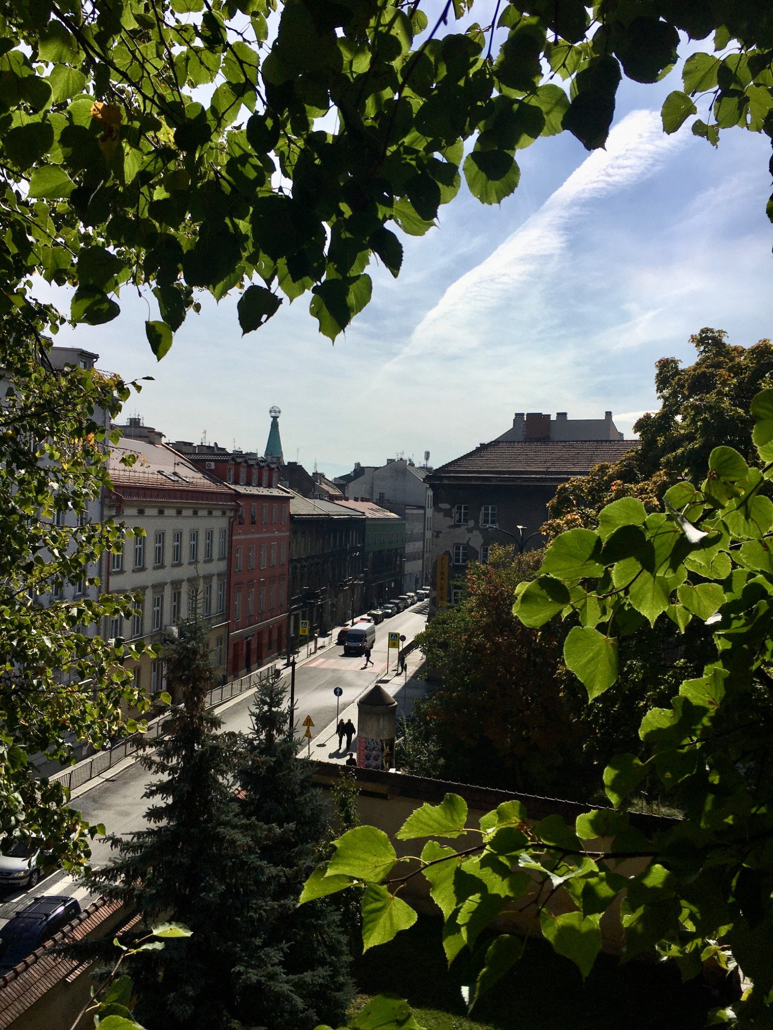 Widok z góry na ulicę miejską, z budynkami w tle, częściowo przesłonięty zielonymi liśćmi drzew