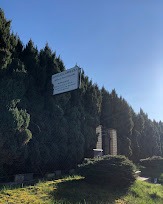 Tablica informacyjna z napisem, umieszczona na tle wysokich, gęstych drzew iglastych, z widocznym fragmentem kamiennego pomnika lub nagrobka w tle, oświetlona jasnym słońcem.