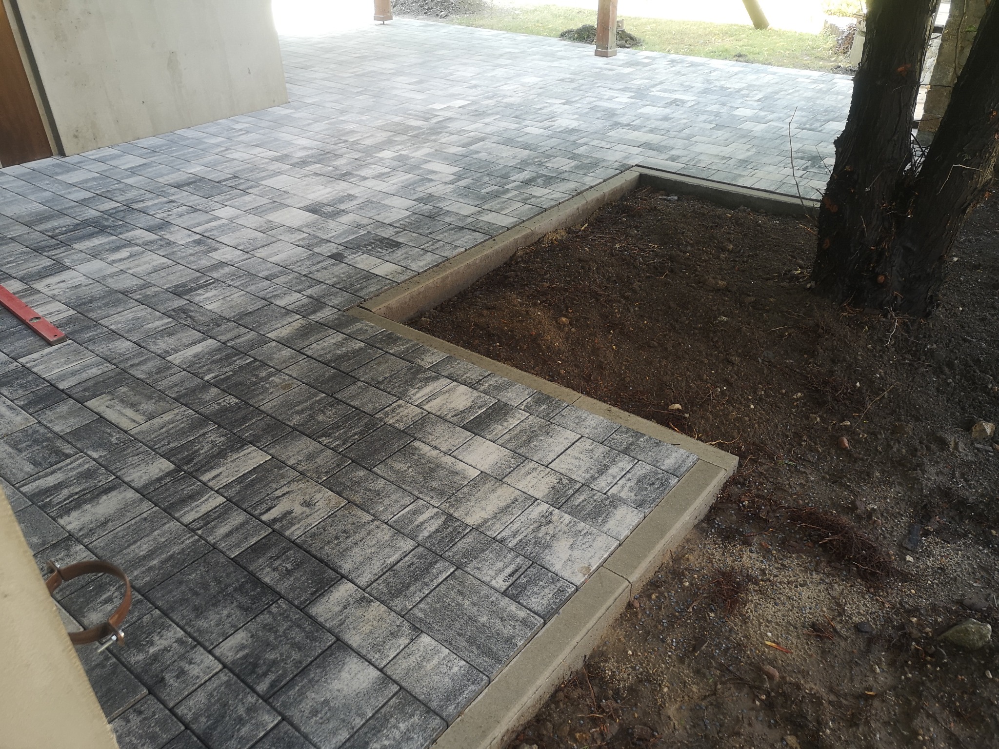 Ułożona szara kostka brukowa z obrzeżem, tworząca taras z wyznaczonym miejscem na roślinę, z widocznym pniem drzewa i ziemią wewnątrz obrzeża.