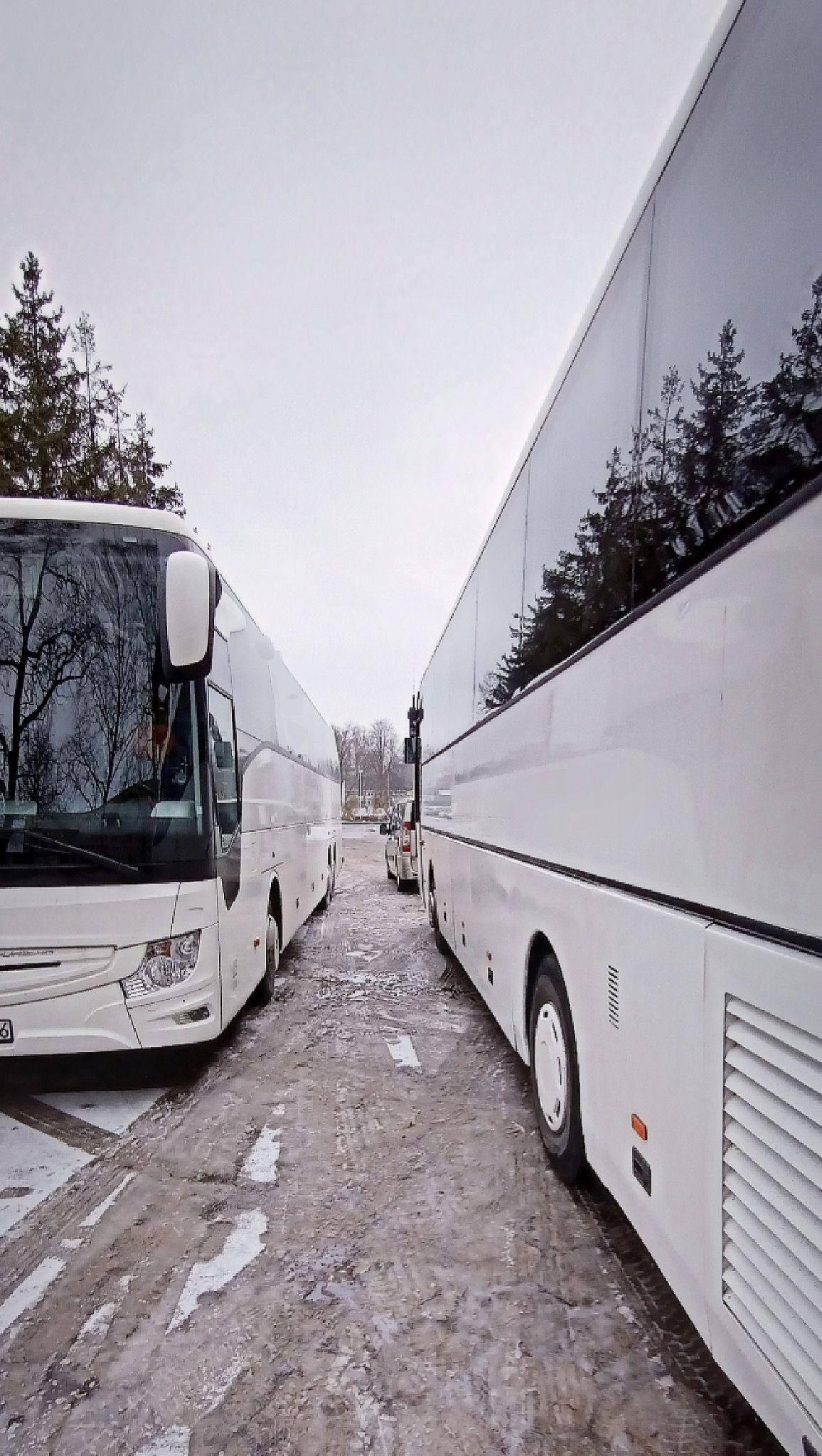 Dwa białe autokary zaparkowane obok siebie na placu pokrytym błotem i śniegiem, z widocznymi drzewami w tle i odbiciami w szybach.