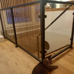 Szklana balustrada z czarnymi metalowymi elementami mocującymi, widoczna z poziomu podłogi, z leżącym na niej kotem