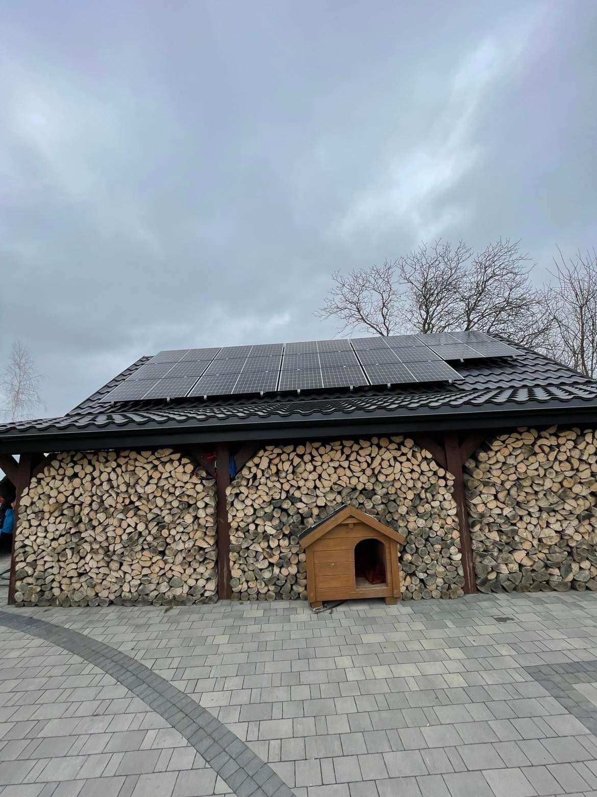 Zadaszenie na drewno opałowe z panelami słonecznymi na dachu, obok buda dla psa, szara kostka brukowa.