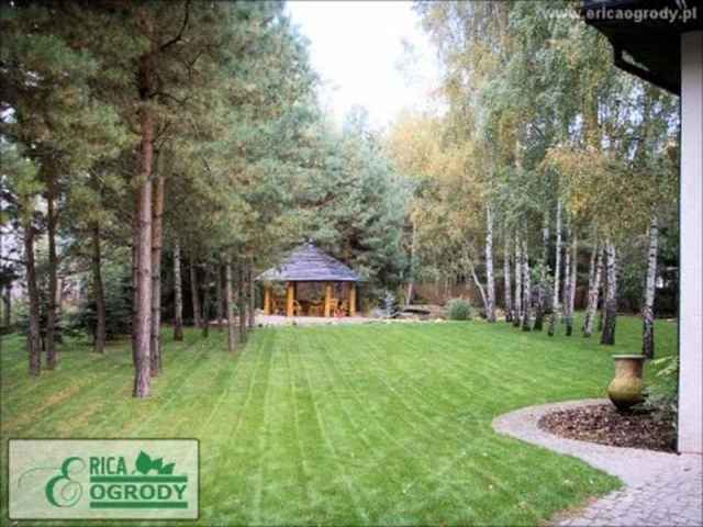 Utrzymany trawnik z pasami po koszeniu, otoczony drzewami iglastymi i brzozami, z widoczną altaną w tle i ścieżką z kostki brukowej.