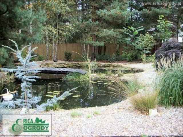 Naturalistyczne oczko wodne z drewnianym mostkiem, otoczone roślinnością wodną i ozdobnymi trawami, wykończone jasnym żwirem, w tle widoczne drzewa i drewniane ogrodzenie.