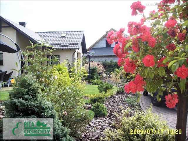 Trawnik Zakładanie Trawników z Siewu i Rolki Automatyczne Systemy Nawadniające Nawadnianie Ogrodu