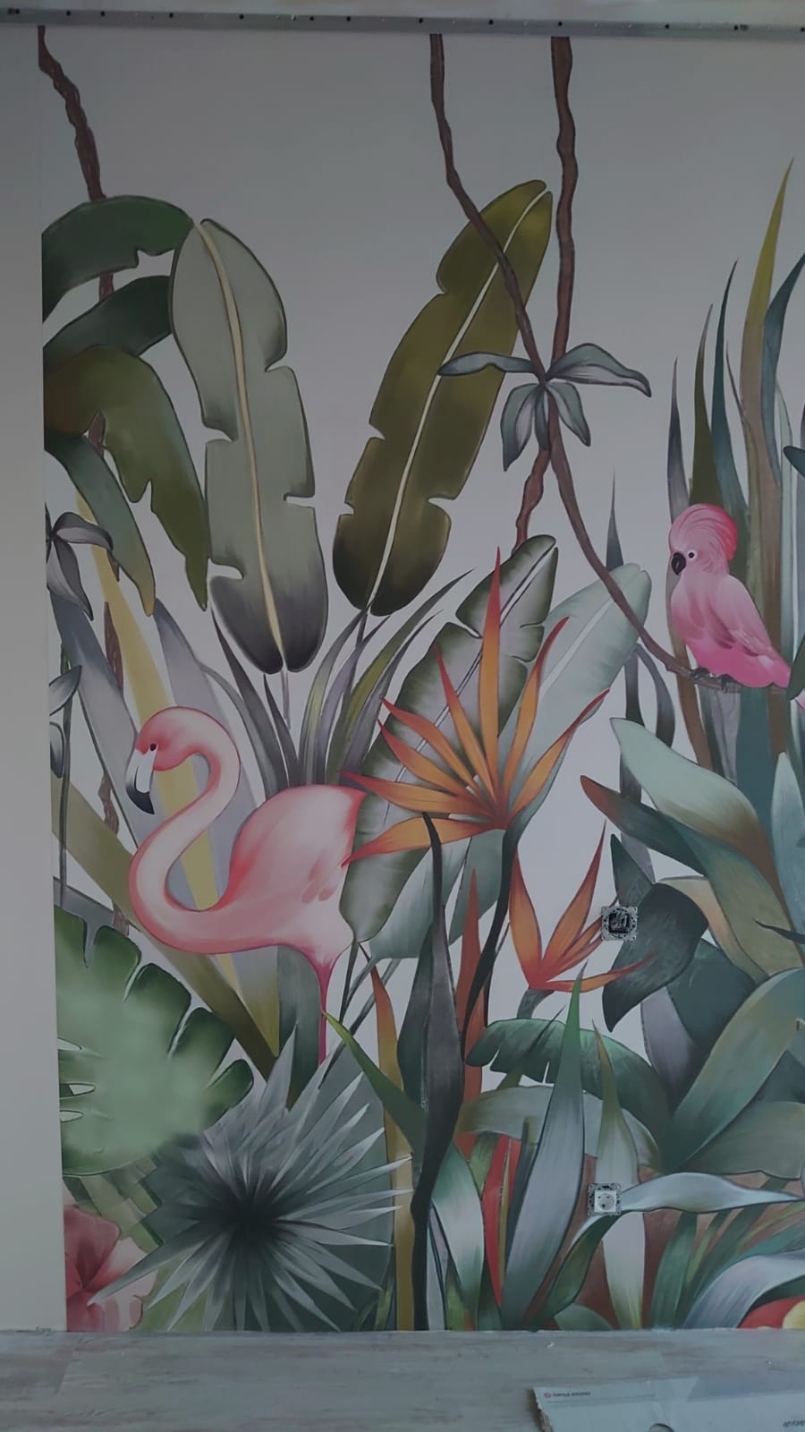 Ściana z tropikalnym muralem przedstawiającym flaminga, kakadu i rajskie ptaki, z widocznymi gniazdkami elektrycznymi.