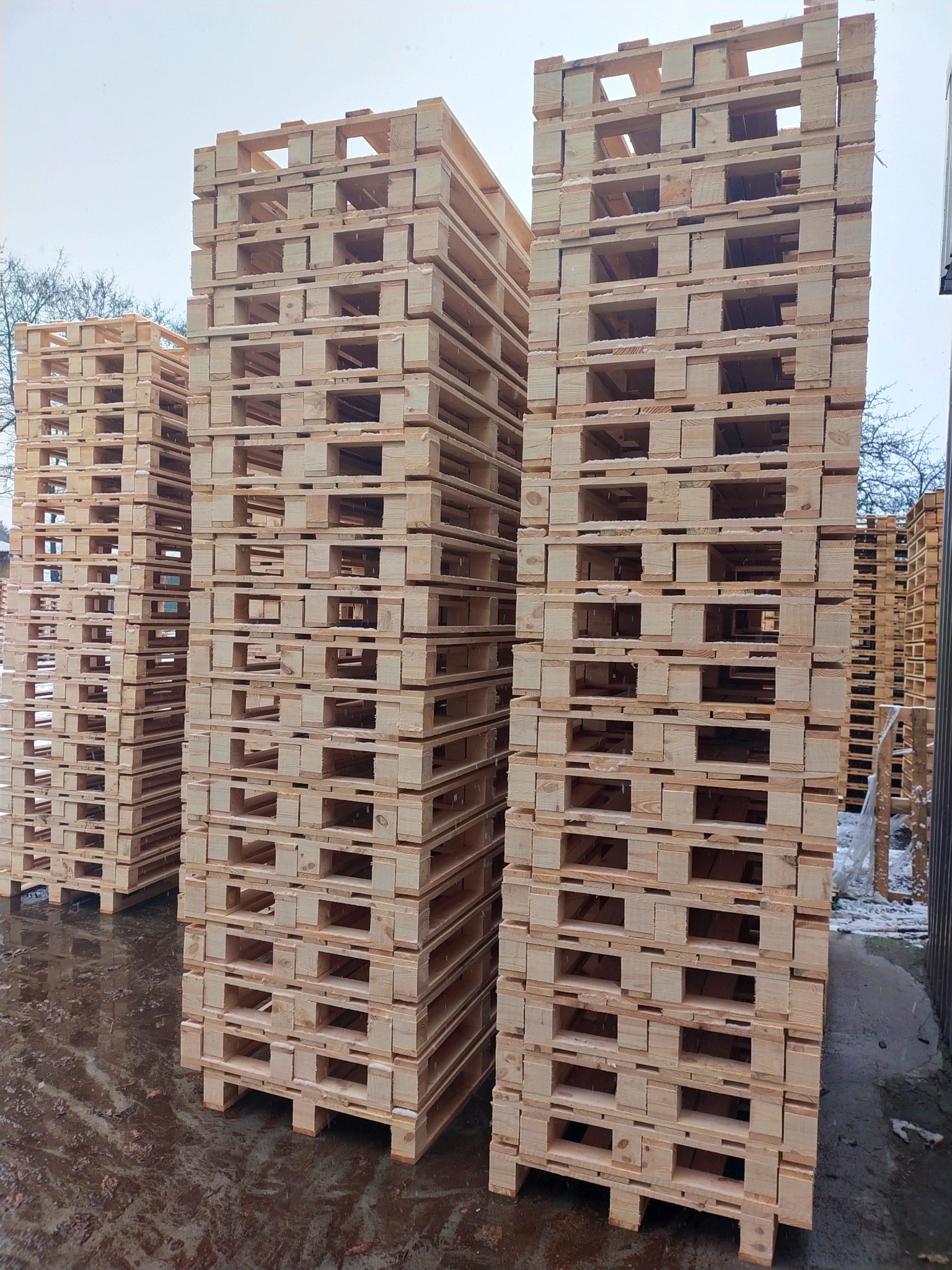 Stosy jasnych, drewnianych palet euro na mokrym, betonowym podłożu; w tle widoczne drzewa bez liści i fragment metalowego ogrodzenia.