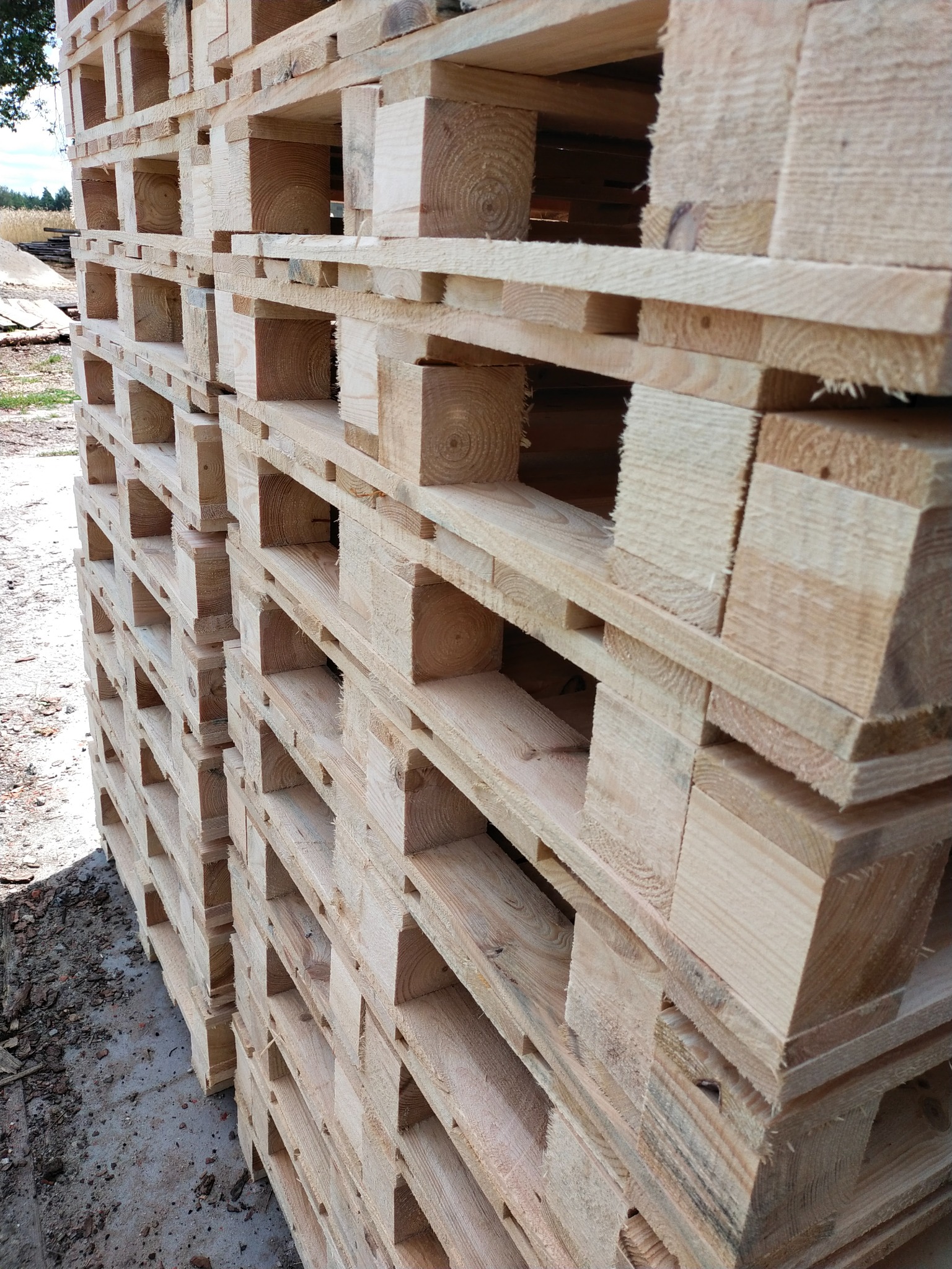 Stos jasnych, drewnianych palet ułożonych jeden na drugim, widoczne słoje drewna i konstrukcja nośna, tło rozmyte z zielenią.