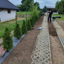 Firma Agpol - Układanie ścieżki z ażurowych płyt betonowych i sadzenie szmaragdowych tuj wzdłuż ogrodzenia działki, widoczny pracownik z grabiami i taczka.