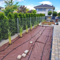 Firma Agpol - Przygotowany teren pod nasadzenia z rozłożoną brązową agrowłókniną, liniami nawadniającymi i młodymi trawami w rzędach, kostka brukowa obok i dom w tle.