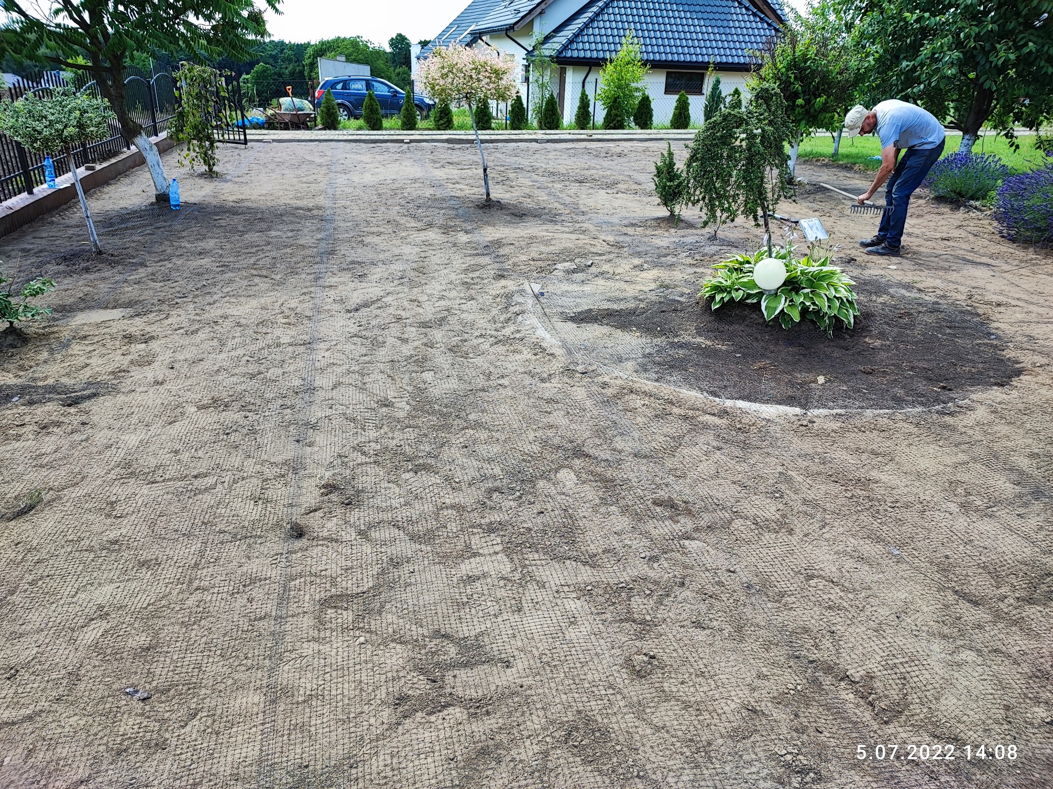 Przygotowanie terenu pod trawnik: mężczyzna grabi ziemię z siatką wzmacniającą, widoczne drzewka ozdobne, krzewy i kwiaty lawendy w tle.