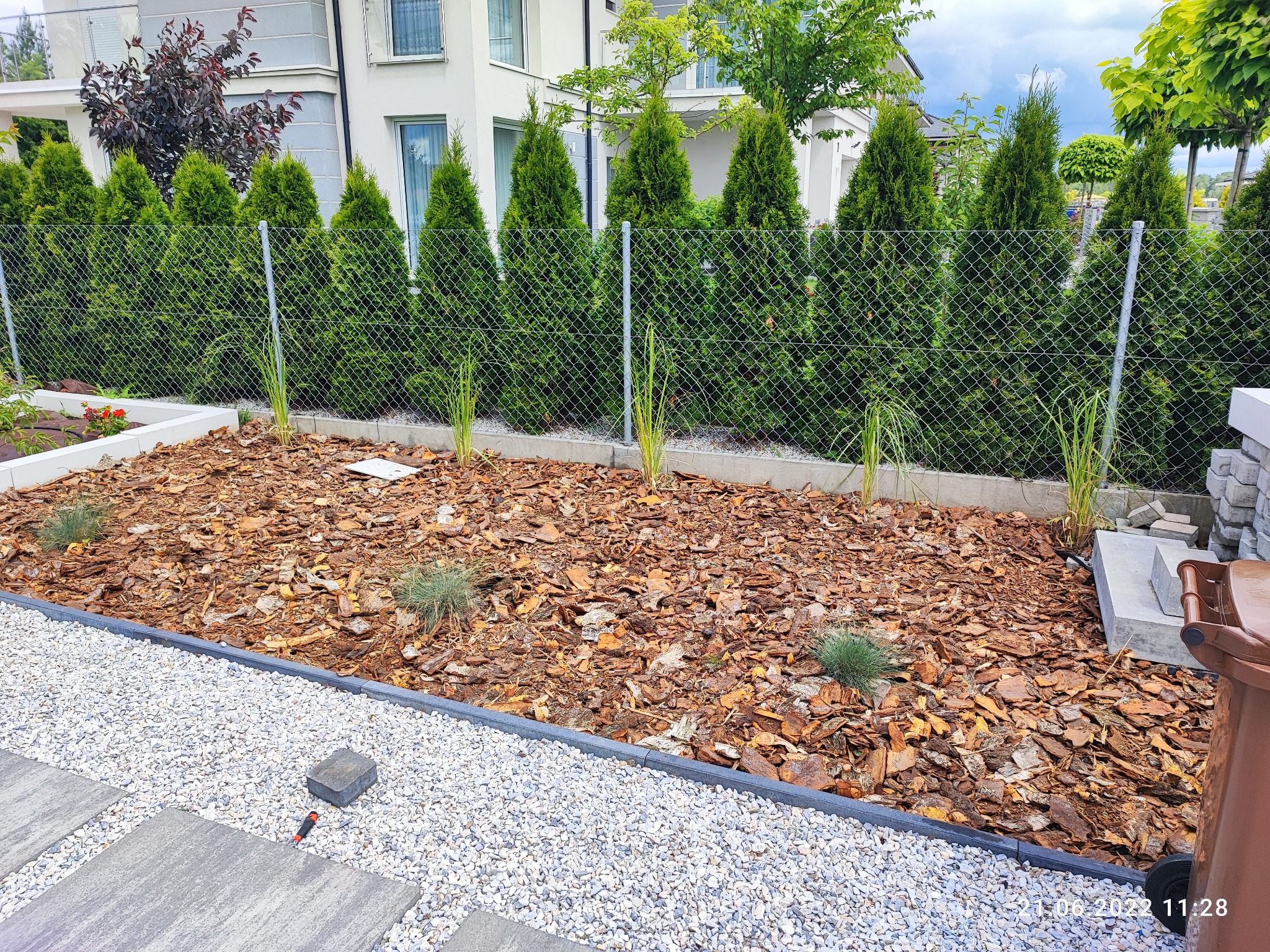 Rabata wysypana korą z młodymi nasadzeniami traw ozdobnych i niskich krzewów, obrzeże z kostki, w tle żywopłot z tuj za siatką ogrodzeniową.