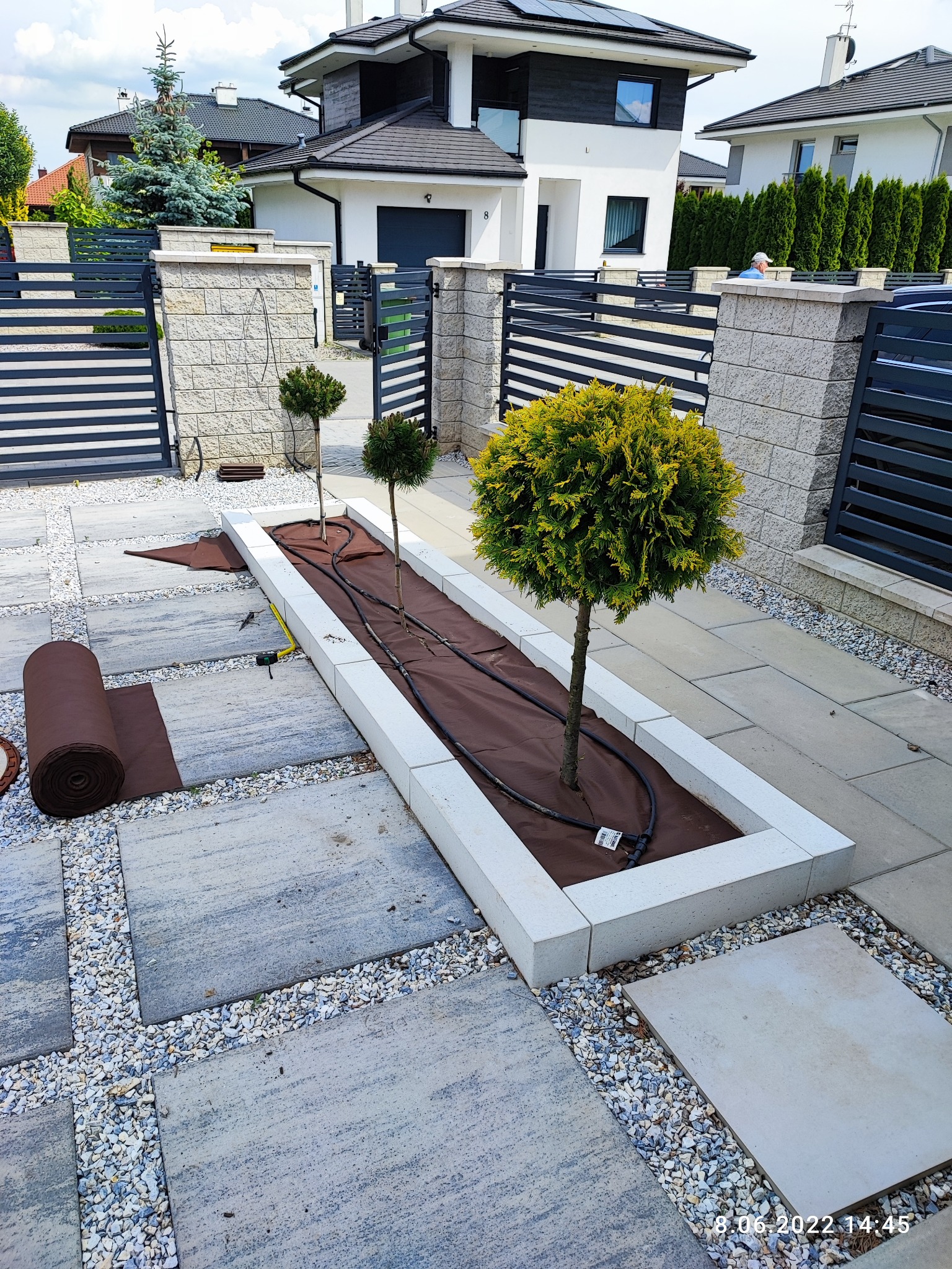 Przygotowany podwyższony kwietnik z trzema ozdobnymi drzewkami w ogrodzie, widoczna instalacja nawadniająca i rozłożona agrotkanina, w tle nowoczesny dom i ogrodzenie.