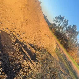 Usypana skarpa z ziemi pod kątem, w tle drzewa iglaste i liściaste, błękitne niebo.