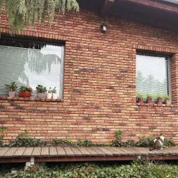 Elewacja z cegły z dwoma oknami z żaluzjami wewnętrznymi. Na parapecie kwiaty w doniczkach, na podeście dwa koty.