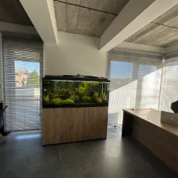 Biuro z betonowym sufitem, wyposażone w poziome osłony okienne, biurko z laptopem i akwarium z roślinami.