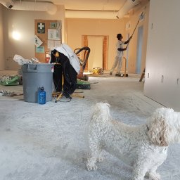 Allago Spółka z Ograniczoną Odpowiedzialnością - Mężczyzna maluje ściany wałkiem na wysięgniku w pomieszczeniu w trakcie prac wykończeniowych, widoczny pies rasy Bichon Frise, pojemnik na odpady, sprzęt budowlany i apteczka pierwszej pomocy