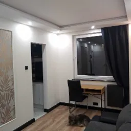 Jasny pokój po remoncie z panelami podłogowymi, biurkiem przy oknie z czarną zasłoną, dekoracyjną tapetą i małym psem leżącym na podłodze.