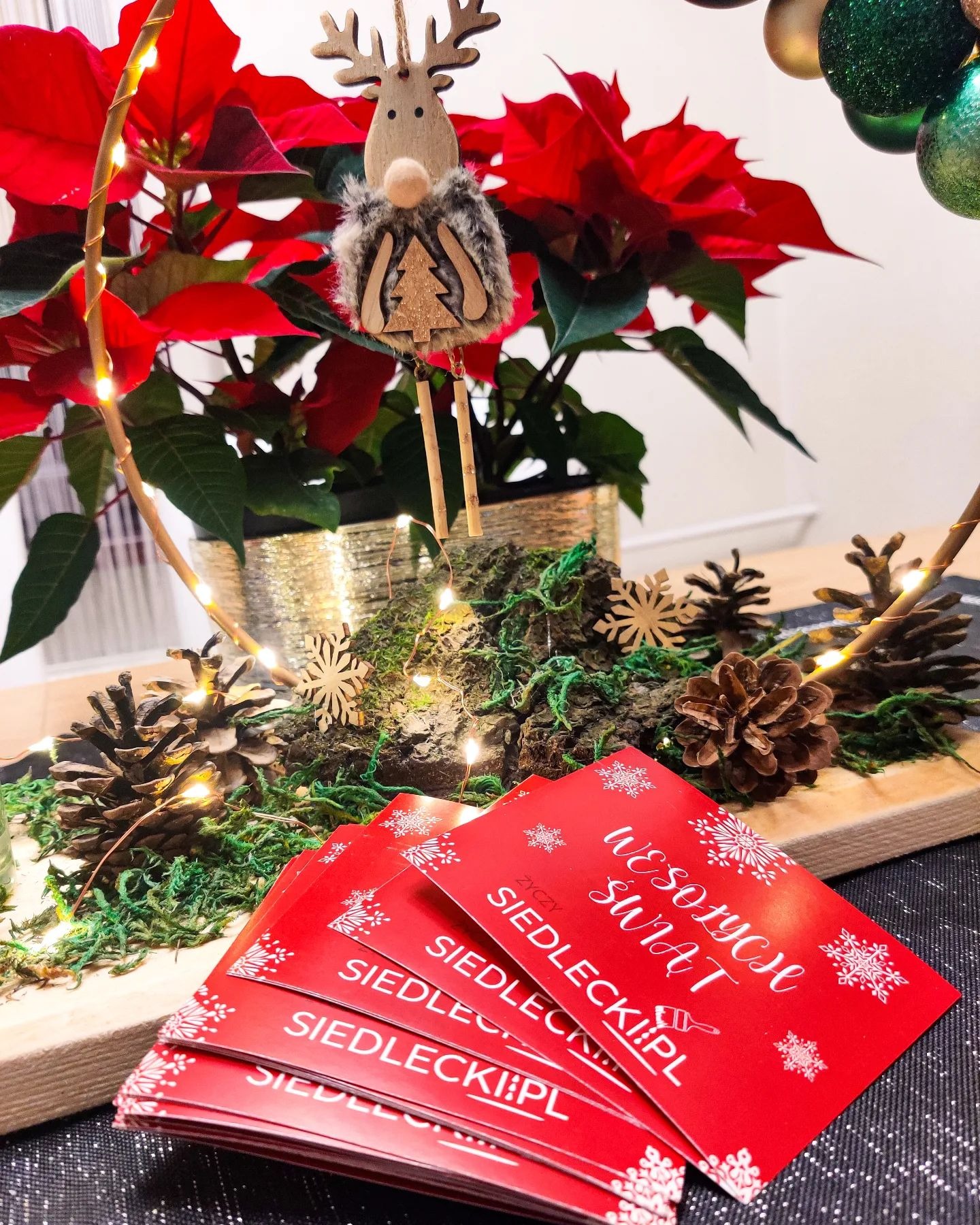Świąteczna kompozycja z czerwoną poinsecją, drewnianym reniferem, szyszkami, lampkami i stosem czerwonych kartek z życzeniami 'Wesołych Świąt' oraz adresem strony siedlecki.pl