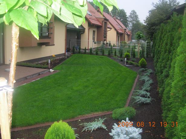 Zadbany trawnik przydomowy z równo przystrzyżoną trawą, obrzeżami z cegły, ozdobnymi krzewami i tujami w tle, widok z góry.