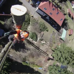 Arborysta w pomarańczowym kombinezonie, zabezpieczony linami, stoi na ściętym pniu drzewa z widokiem z góry na dom z czerwoną dachówką i otoczenie z przygotowanym drewnem do kominka.