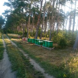 Miody Lunow-Stolzenhagen 4