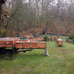 Miody Lunow-Stolzenhagen 2