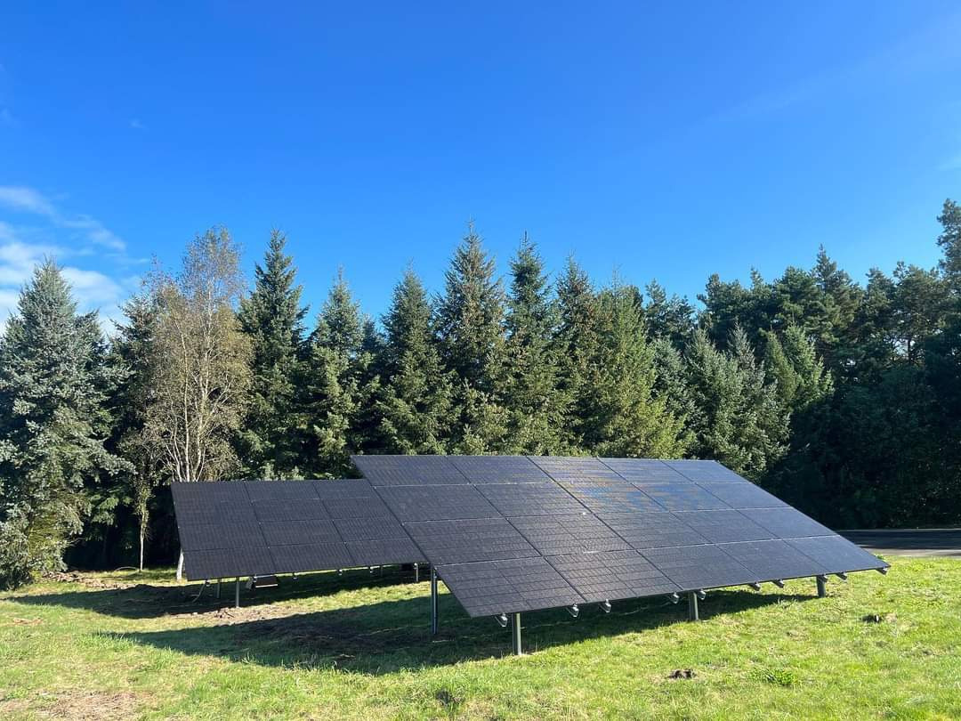 Dwa rzędy paneli słonecznych na metalowych stelażach, ustawione na trawiastym terenie z drzewami w tle, pod błękitnym niebem.