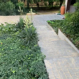 Ułożona ścieżka z kostki brukowej prowadząca w dół schodami, otoczona zielenią, z widocznymi roślinami kwitnącymi na biało i fragmentem domu w tle.