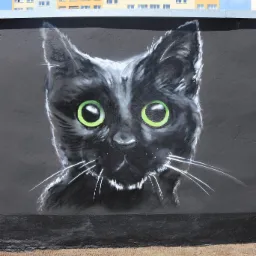 Graffiti przedstawiające czarnego kota z jaskrawozielonymi oczami na szarej ścianie, na tle błękitnego nieba i budynku z kolorowymi panelami.