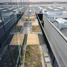 Widok z góry na taras na dachu budynku biurowego z drewnianymi podestami i zielonymi rabatami, odbicie elewacji w szklanej fasadzie.