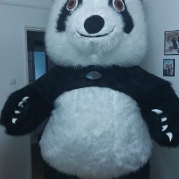 Animator dla dzieci Czersk 4