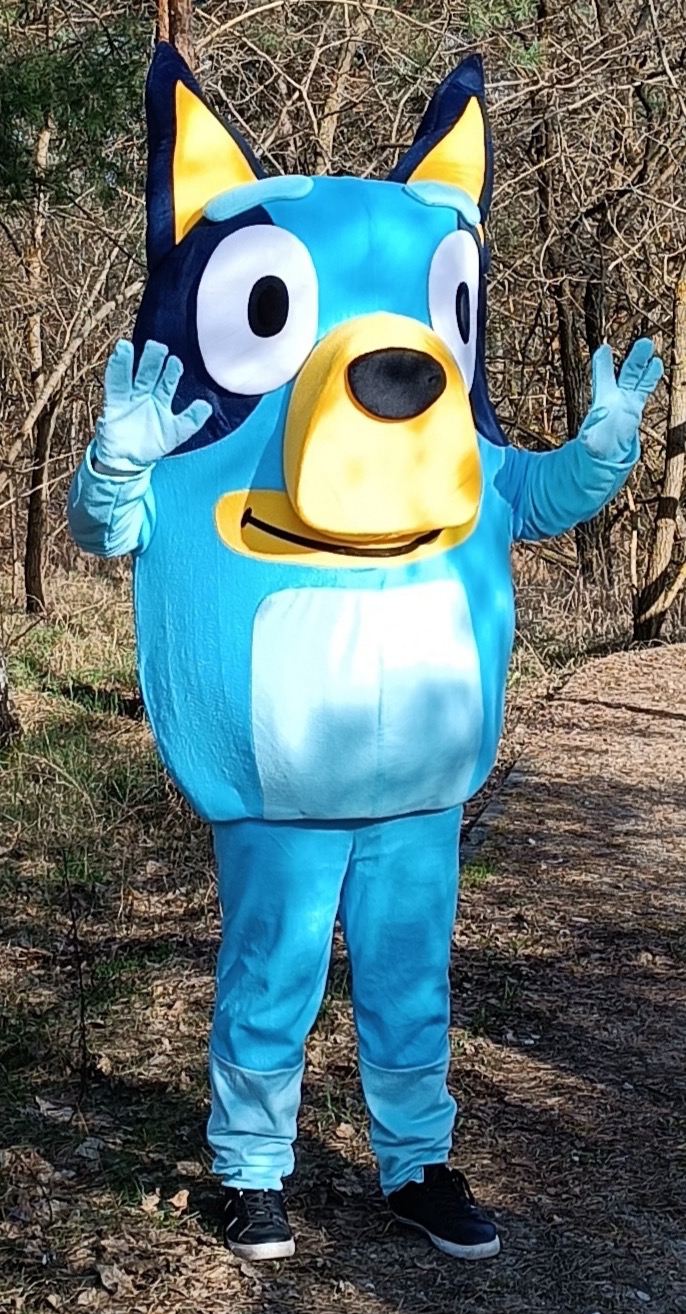 Osoba w kostiumie postaci z kreskówki Bluey, stojąca na zewnątrz w lesie, z uniesionymi rękami w geście powitania.