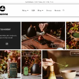 Fragment strony internetowej sklepu z herbatą specialty Teasome.