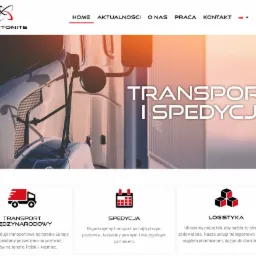 Fragment strony internetowej firmy transportowej Triptonite