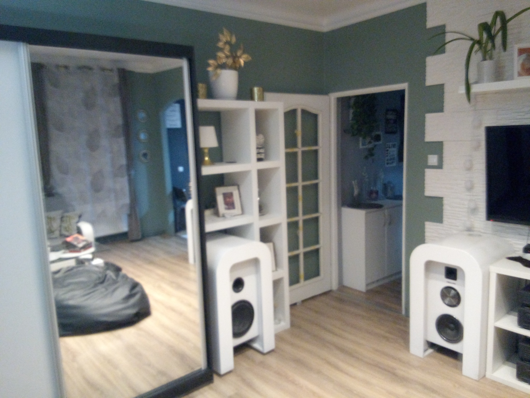 Pokój dzienny z zielonymi ścianami, parkietem i nowoczesnymi meblami, widok z perspektywy przesuwanych drzwi szafy.