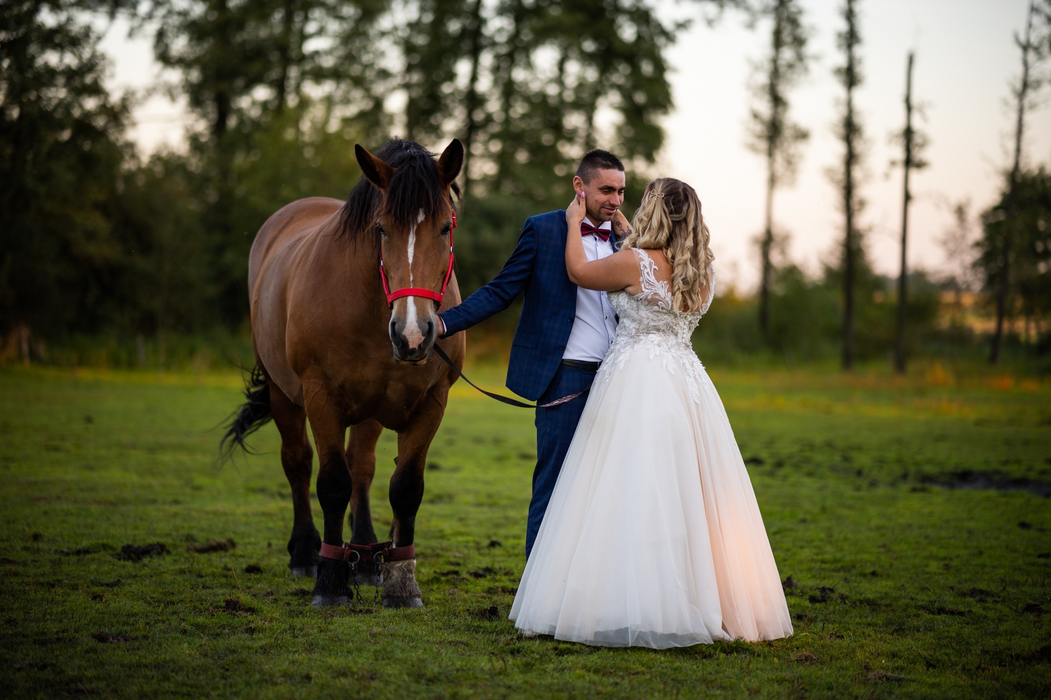 Para młoda w plenerze z brązowym koniem z czerwonym kantarem, ona w białej sukni z koronkową górą, on w niebieskim garniturze i bordowej muszce, dotyka jego twarzy.