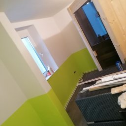Malowanie z odcięciem 2 kolorów plus montaż sauny 