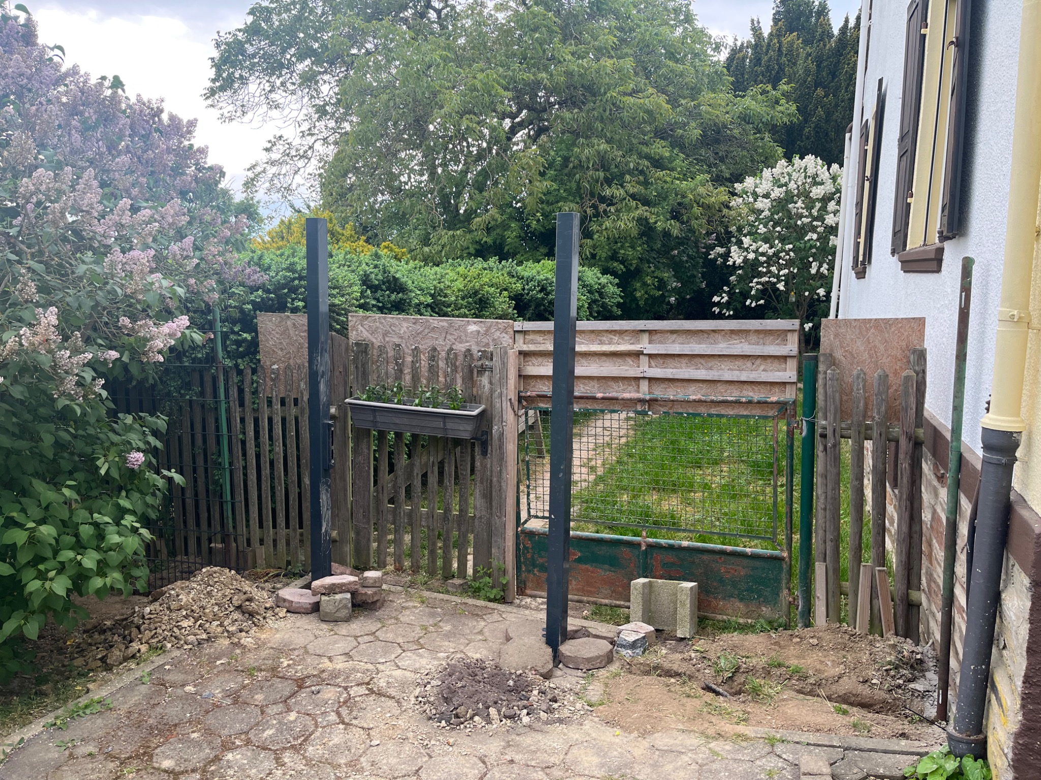 Montaż nowego płotu plus bramki