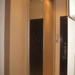 Wnętrze przedpokoju z jasną szafą przesuwną z lustrem i ciemnymi drzwiami wejściowymi z domofonem.