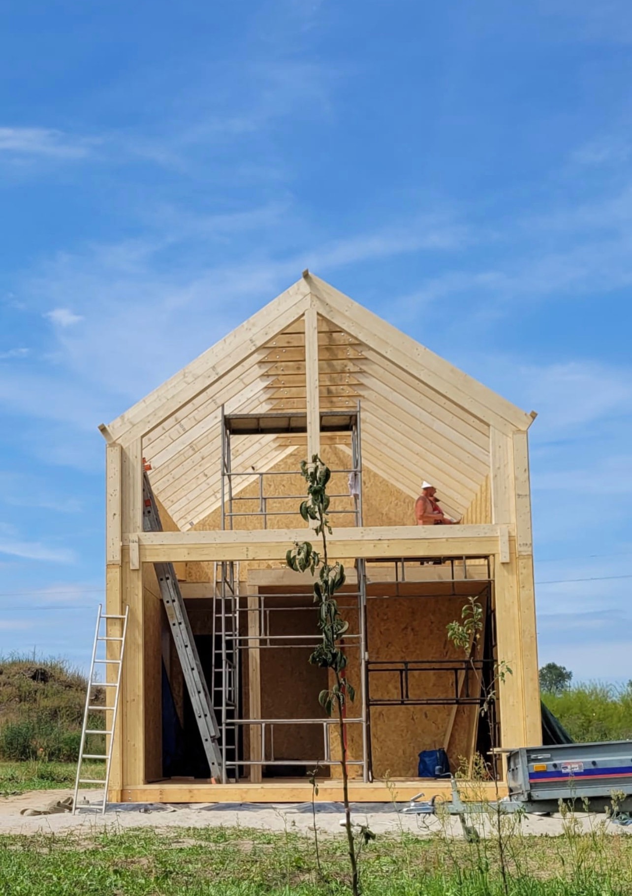 Surowa konstrukcja szkieletowa domu z drewna, widoczny pracownik w kasku na rusztowaniu wewnątrz, drabina oparta o ścianę, młode drzewko na pierwszym planie, błękitne niebo w tle.