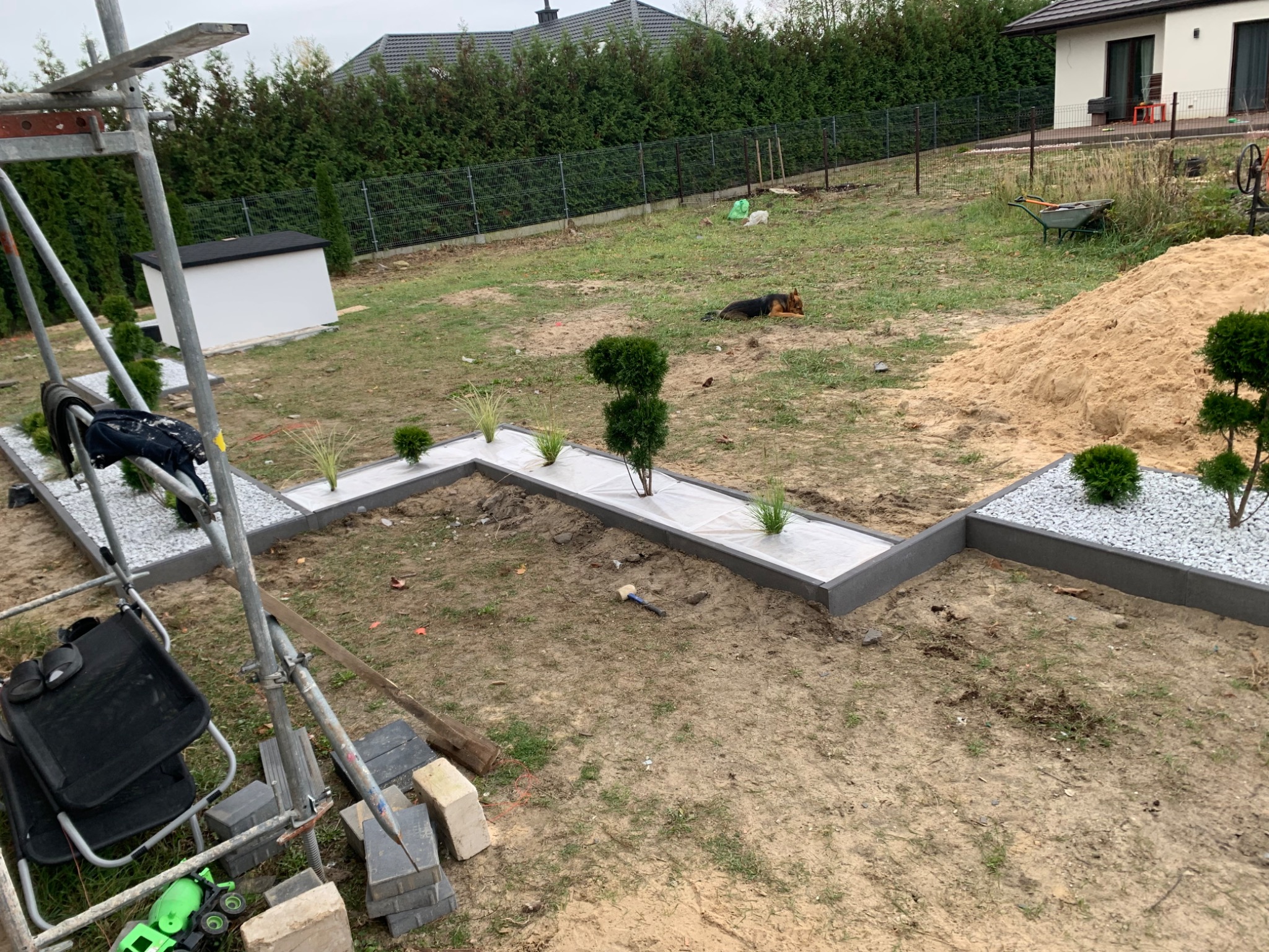 W trakcie tworzenia ścieżki w ogrodzie z obrzeżami, wypełnionej białym grysem i ozdobnymi roślinami, widoczne rusztowanie, sterta piasku i pies leżący na trawie w tle.