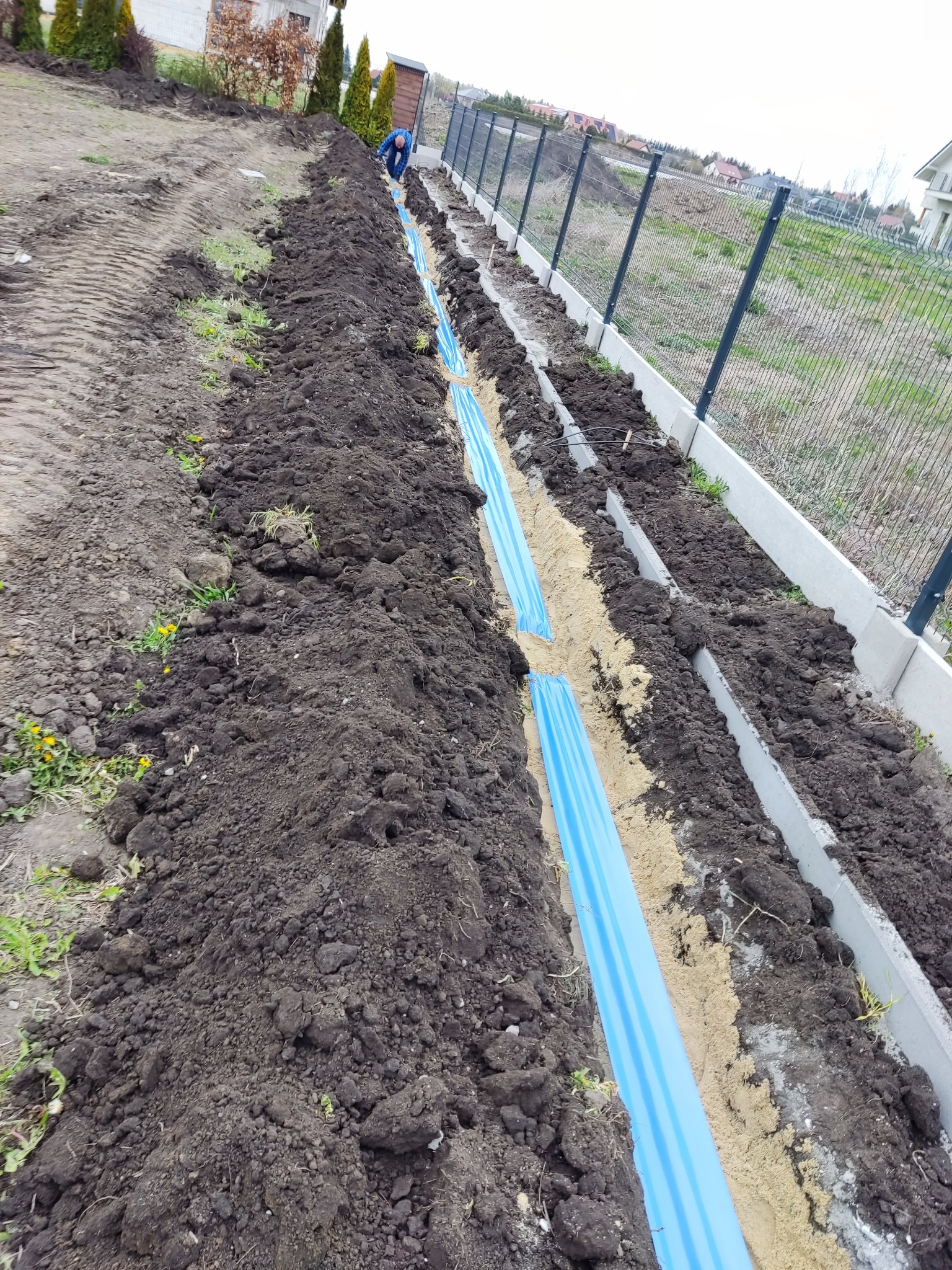 Wykop w ziemi z ułożoną niebieską rurą drenażową, podsypaną piaskiem, widoczny pracownik w oddali, obok ogrodzenie panelowe.
