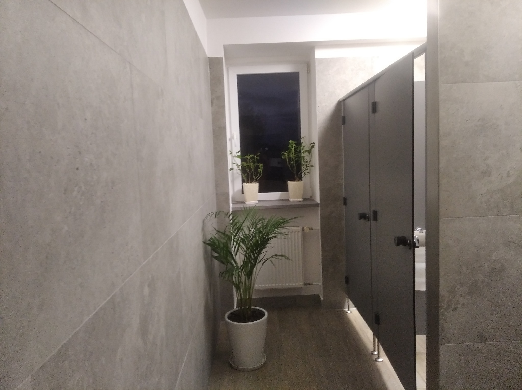 Wnętrze publicznej toalety z szarymi płytkami na ścianach, kabinami z ciemnego drewna i roślinami doniczkowymi przy oknie.