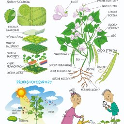 GrafikaStudio - plansza edukacyjna