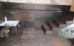 Schodki w Garażu i Wanienka do Kąpania Psa