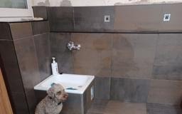 Wykończona łazienka z ciemnymi płytkami, małą umywalką i widoczną instalacją wodną. Pies rasy Lagotto Romagnolo siedzi obok umywalki. Częściowo widoczne ściany w trakcie remontu.