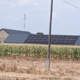 Elektrowniesloneczne.tech - Panel słoneczny na dachu budynku gospodarczego, widok z pola kukurydzy. W tle maszt telekomunikacyjny i inne budynki. Słup energetyczny na pierwszym planie.